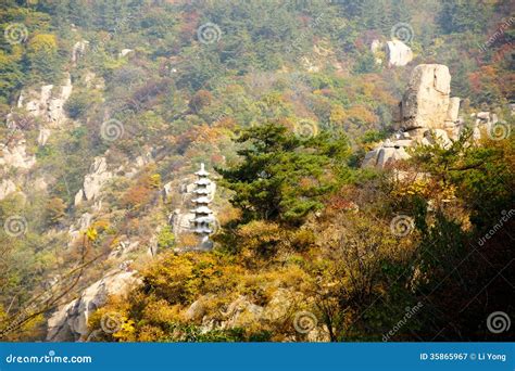 如何坐車去嶗山？嶗山不僅僅是一座自然美景的勝地，它還蘊藏著豐富的文化歷史。